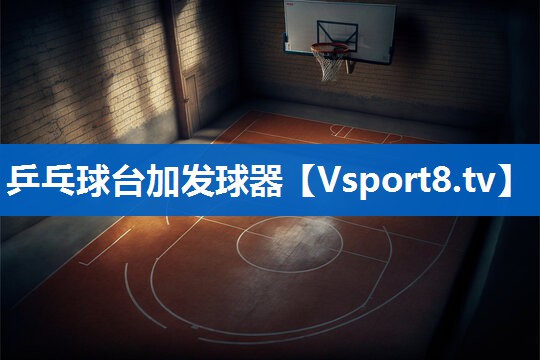 <strong>乒乓球台加发球器</strong>