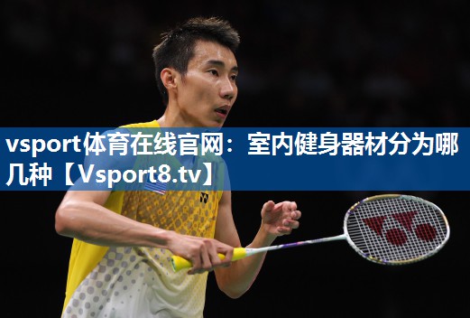 <strong>vsport体育在线官网：室内健身器材分为哪几种</strong>
