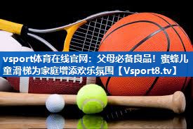 vsport体育在线官网：父母必备良品！蜜蜂儿童滑梯为家庭增添欢乐氛围