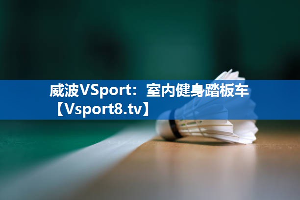威波VSport：室内健身踏板车