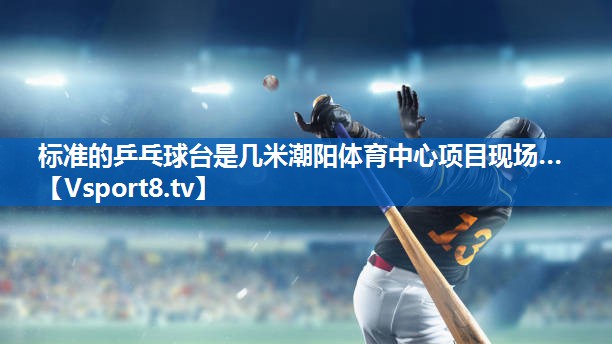 <strong>标准的乒乓球台是几米潮阳体育中心项目现场…</strong>